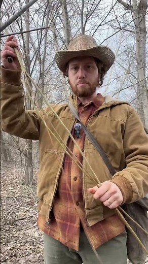 How to plant a forest in minutes! #bushcraft #gardening #naturelovers #willow #propagation #planting