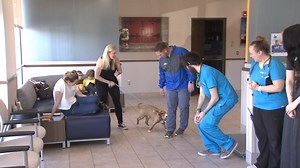 59K views · 1.6K reactions | Great news! Atlas got adopted today!! We're hearing from his new family on FOX23 News at 9. https://bit.ly/2vhaMLY | FOX23 News | Facebook