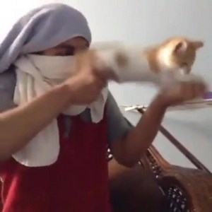 185K views · 3.9K reactions | Cat machine gun  | SeeMore | Facebook