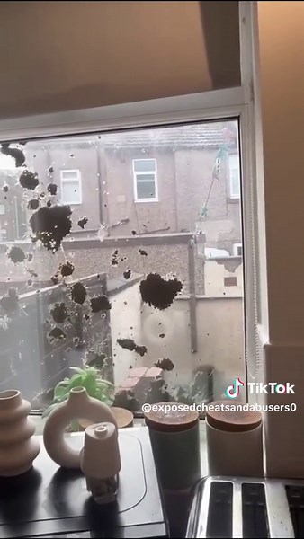 Harry Allen - Wirral #fyp #awareness #wirral #dv #beware