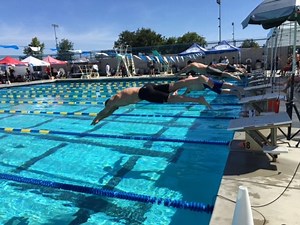 Swim meets open to all adults