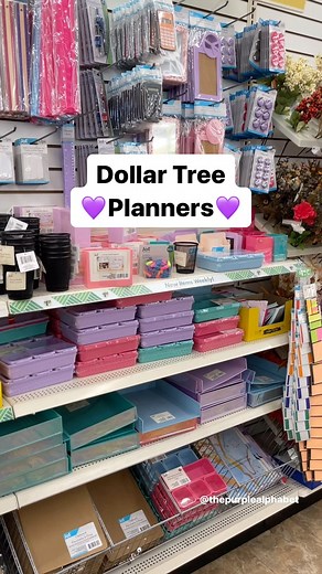 15K views · 6.7K reactions | Dollar Tree is exploding with planners!...