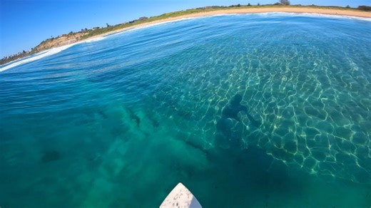 Surfing the Clearest Waves Ever!