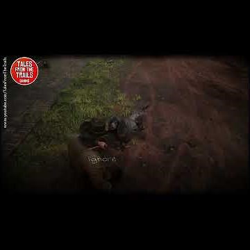 🎤 RDR2 Story - Where to find Poodle | Dog Map Location