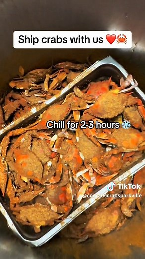 Ship maryland crabs with us!🦀❤️🛫 We ship to ALL 50 states! check us out at shipmarylandcrabs.com #MarylandBlueCrabs #SeafoodLovers #CrabFeast #TasteOfMaryland | Conrad's Crabs & Seafood Market -Parkville, MD