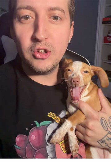 Comeback (@kickcomeback)’s videos with original sound - Comeback