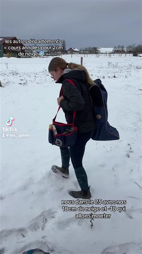 Premiers cours de l'équitation: chutes et astuces