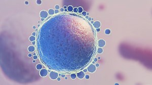 Fertility Preservation: Process Of Egg Freezing