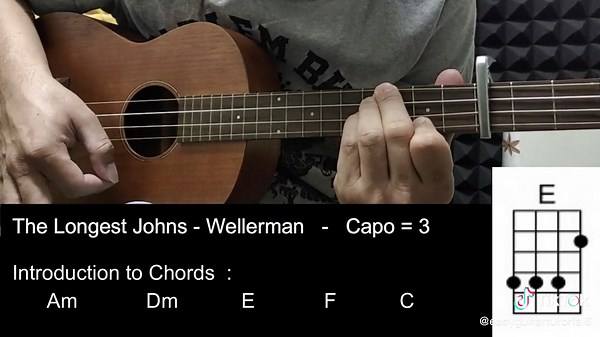 Wellerman Ukulele Cover by The Longest Johns