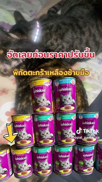 Whiskas วิสกัส อาหารเปียกแมว แพ๊ค24กระป๋อง คละรส สารอาหารครบถ้วน#เทรนด์วันนี้ #อาหารแมว #อาหารแมวเปียก#เปิดการมองเห็น #แมวจร #ทาสแมว #catoftiktok #cat#whiskas