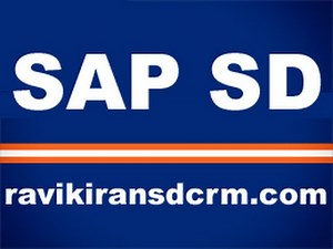 SAP SD Training - Master Data