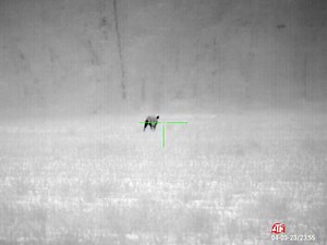 2.8K views · 12 reactions | When you buddy doesn’t notice a round didn’t go into the chamber when he was loading his rifle you get to eradicate his pigs also. ATN Thor 4 640 4.0x Liberty Precision Machine Anthem-S 7.62mm Code Blue Firearms .308 | Rougarou Hog Control | Facebook