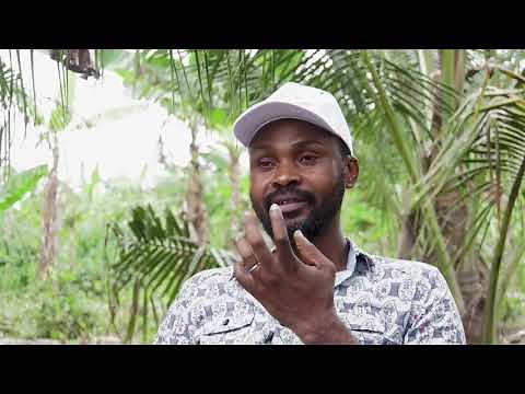 AgroLink - Coconut Farming in Ghana