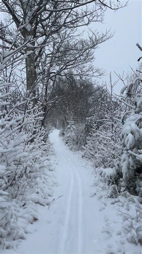 Bar Harbor misses you… #barharborinn #hospitalitymaine #acadianationalpark #withamfamilyhotels #barharbormainehotels | Bar Harbor Inn