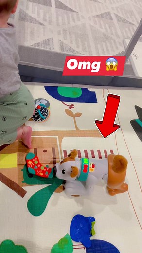 #omg #baby #puppy #dog #highlights #toy #learningtoy | The Murphys