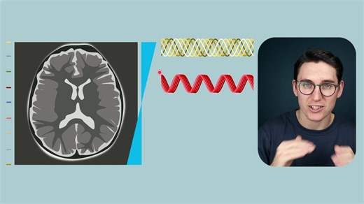 13 Aliasing (Wraparound) Artifact and Parallel Imaging in MRI