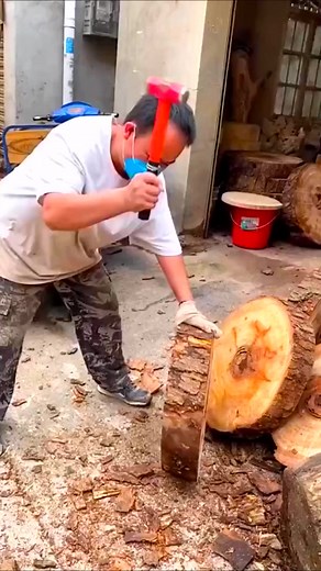 #woods #nature #forest #trees #naturephotography #photography #outdoors #wood #hiking #tree #naturelovers #landscape #green #autumn #mountains #adventure #art #woodworking #photooftheday #love #travel #woodland #explore #wildlife #beautiful #naturelover #landscapephotography #forestphotography #summer #hike | Wood Skills