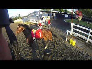 Horse racing accident averted. (contains profanity)