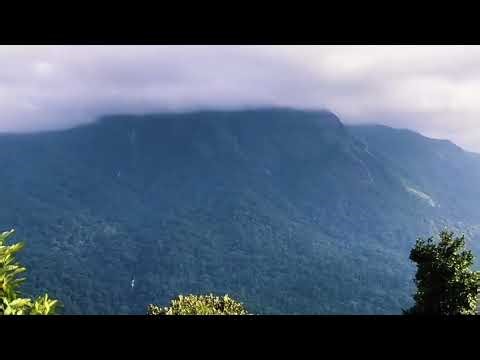 Beautiful view on way to kukke to Bangalore road 😘😍