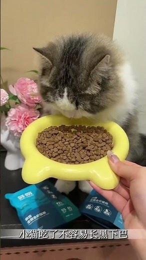 Essential Pet Care Tips: Must-Have Supplies & Scientific Tricks