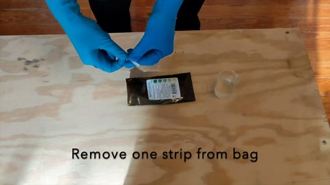 Scientific Glucose Test Strips for Food Science or Osmosis/Diffusion Experiments [Bag of 50 Plastic Strips]