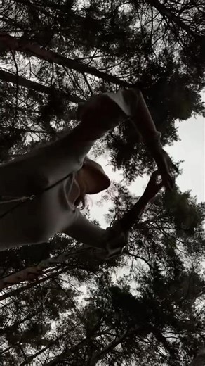 Открой описание #свобода #лес #настроение #гармония #натуральныекамни #минералы