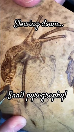 Snail pyrography on a gourd #gourds #art #pyrographyart