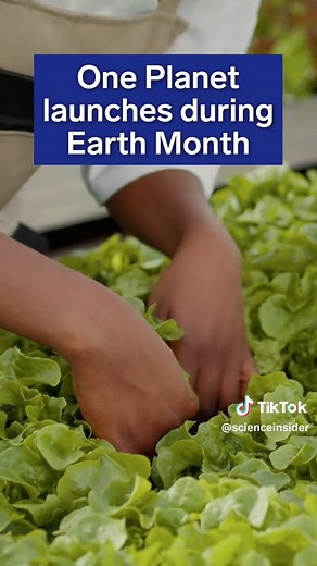 Meet #OnePlanet, Insider’s hub for all things climate action. We’re sharing stories about how leaders, technologies, and communities are combatting the climate crisis at the link in our bio. #sustainability #earthday #climateaction