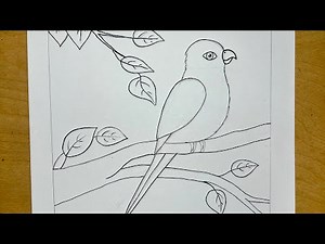 Easy Parrot Drawing for Beginners | Step-by-Step Tutorial