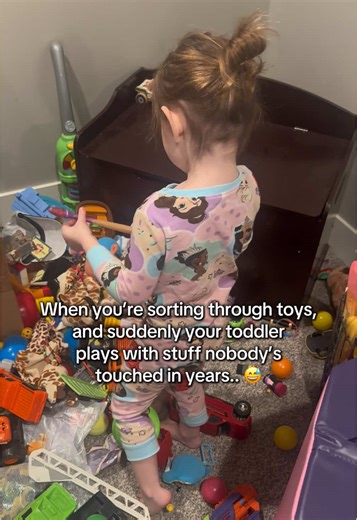 Sorting Toys: A Toddler's Bedtime Surprise