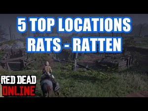 5 Locations Rats Ratten Red Dead Redemption 2 Online