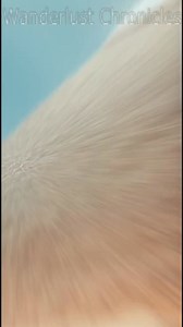 REAL FOOTAGE AT THE END! 😳 Gigantic pyramid popped up from nowhere under the Lake Michigan! 🤯 #pyramid #usa | Wanderlust Chronicles