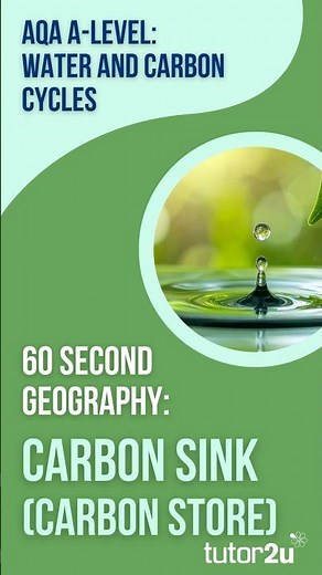 60 Second Geography | AQA A-Level Geography | Carbon Sink (Water and Carbon Cycles 13)