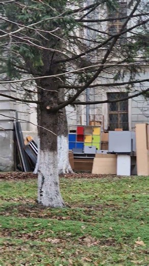 Ce se întâmplă la Colegiul Mihai Eminescu? #viral #viralvideo #viralshorts #viralshort #2026 #oradea