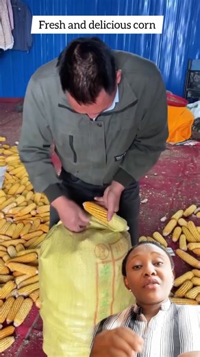 Fresh corn pack in bag | MaryCee