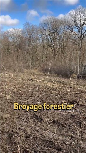 Broyage forestier avec deux Galotrax Plaisance pour toujours plus d’efficacité #forestier #forestry