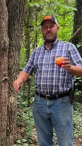 18K views · 181 reactions | How to cure peach pit syndrome! | Micah D McGie | Facebook