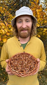 9.9K views · 1.7K reactions |  Jedli ste už bukové oriešky? Áno, sú...