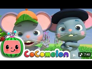 "🎶 A Fun-Filled Mouse in Her Room! | Catchy Kids' Nursery Rhyme Video 🐭✨"