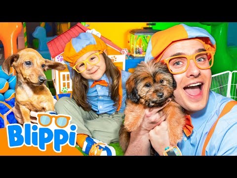 PAWSOME Puppy Playdate 🐶 & Blippi Meeting Other Animals 🦎🙉
