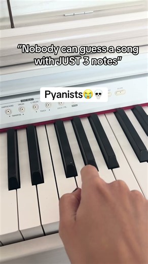 who knows this song on the piano? #piano #pianomusic