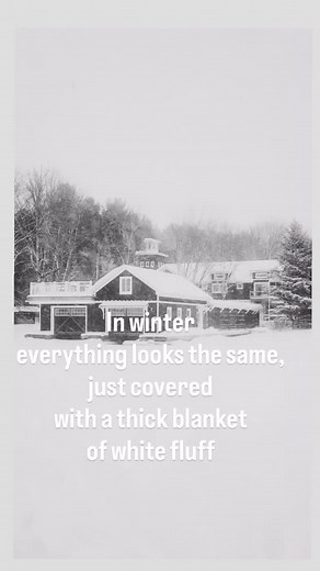 Putting driveway stakes out will really help whoever clears the snow from your driveway. Driveway edges are hard to find under a thick blanket of snow. #snow #snowplowing #snowblowing #muskoka #lakemuskoka #bracebridge #portcarling #muskokariver #lakerosseau #lakejoseph #bala #indianriver | Thelma Jarvis