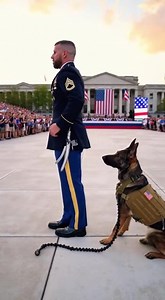 Military dog | 🧡 soldier and dog 🐶 😂 #dogshorts #trendingshorts #dogvideos #funnydogs | The Funny Dog Club