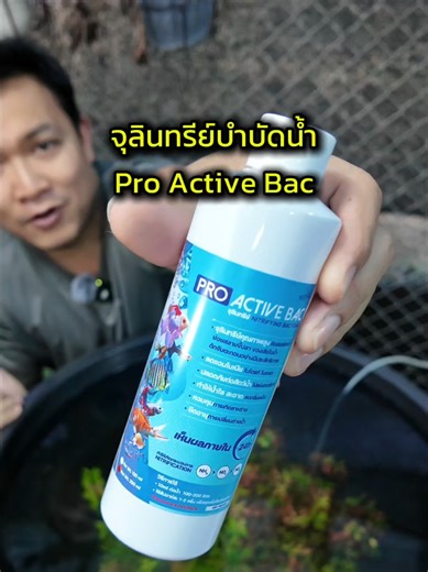 จุลินทรีย์บำบัดน้ำ Pro Active Bac เห็นผลจริง น้ำใสจริง #จุลินทรีย์บำบัดน้ำ #จุลินทรีย์ปรับสภาพน้ํา #จุลินทรีย์น้ำใส #เก่งคุง #จุลินทรีย์ตู้ปลา