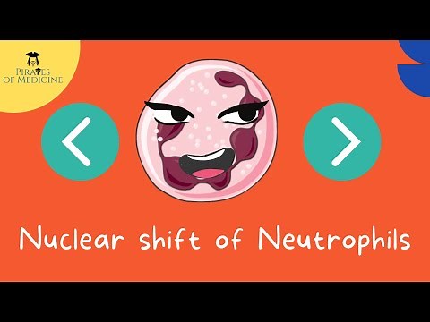 Nuclear shift of Neutrophils | Left and Right shift explained | High Yield | Krok-1 Exam