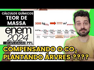 ✏️ENEM 2024 PPL | Após realizar uma inspeção veicular, um cidadão descobre que seu automóvel a