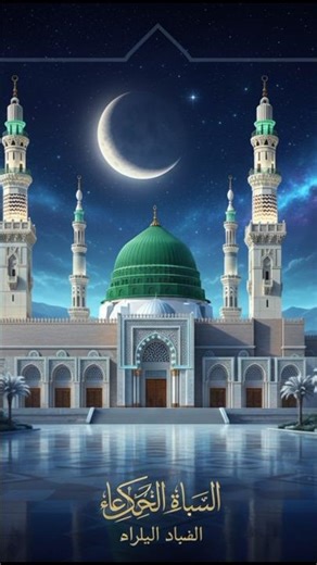 মদিনার সৌন্দর্য ❤️
