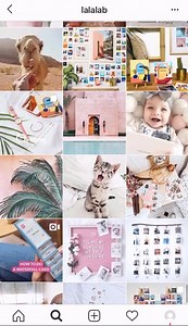 3.4K views | Looking for some new inspiration for decorating your...