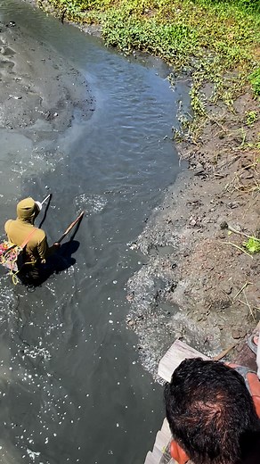 737K views · 3.1K reactions | Ikan mas nya babon babon #fishing #adventure #Rell | Putra Pali Paliee | Facebook