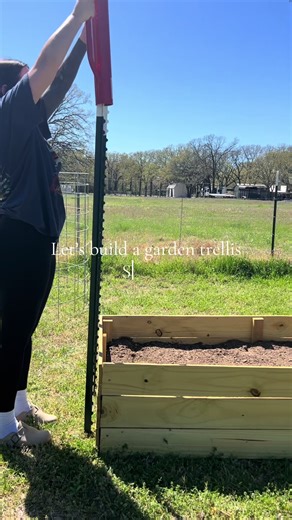 Building a Garden Trellis: A Beginner's Guide